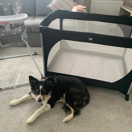 Nook On The Nidd, 纳尔斯伯勒